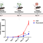 Figure 5 Revision.png