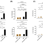 Figure 6 Revision..png