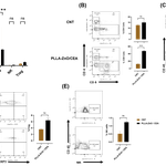 Figure 7 Revision..png